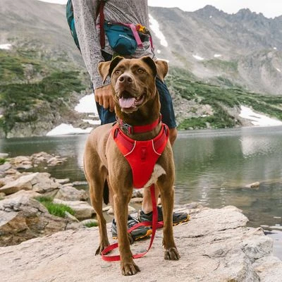 Arnés Ruffwear New Front Range Rojo Para Perros - Imagen 4