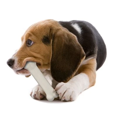 Huesos Nylabone Puppy - Pack De Inicio - Imagen 4