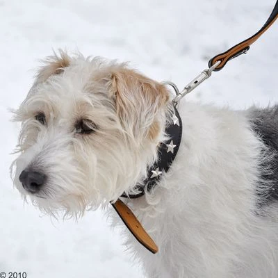 Collar De Cuero Heim Stars - Imagen 5