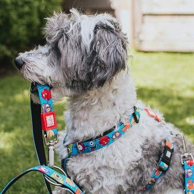 Arnés Max & Molly Little Monsters Para Perros - Imagen 7
