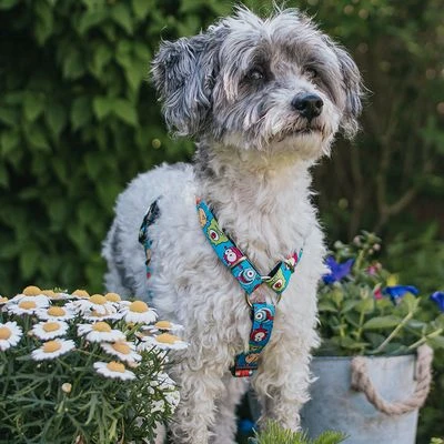 Arnés Max & Molly Little Monsters Para Perros - Imagen 2