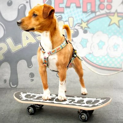 Arnés Max & Molly Cómic Para Perros - Imagen 7