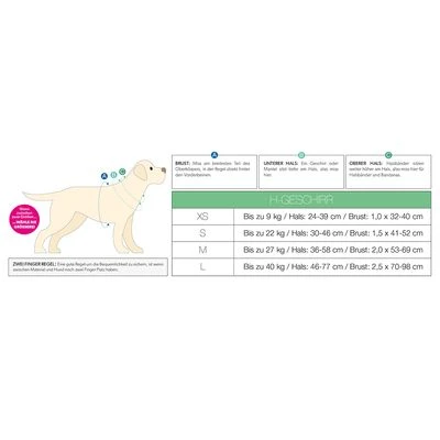 Arnés Max & Molly Cómic Para Perros - Imagen 8