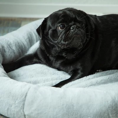 Cama Térmica HAFENBANDE Flory - Imagen 4