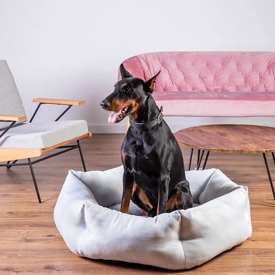 Cama Alexandria Modern Living Para Perros - Imagen 6