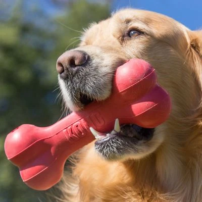KONG Goodie Bone Hueso Para Morder Juguete Para Perros - Imagen 2