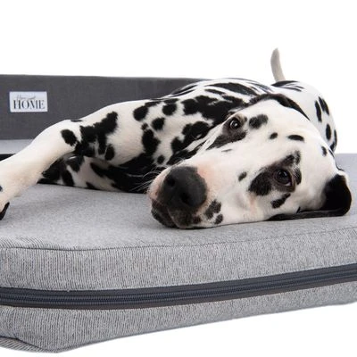 Cama Giant De Espuma Viscoelástica Para Perros - Imagen 9