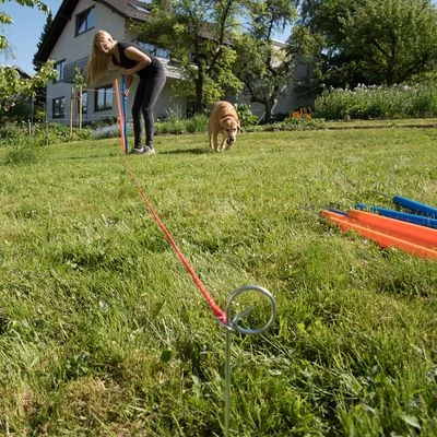 Slalom Agility Fun & Sport - Imagen 5