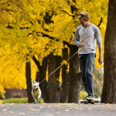 Correa RUFFWEAR Hi & Light Para Perros - Imagen 8