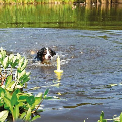 Juguete Trixie Aqua Toy MOT®-Aqua Para Perros - Imagen 2