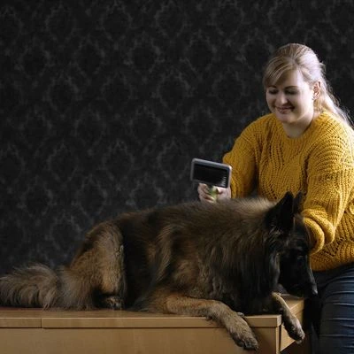 Carda Grande Moser Para Mascotas - Imagen 2