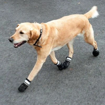 Zapatos Para Perros S & P Boots - Imagen 10