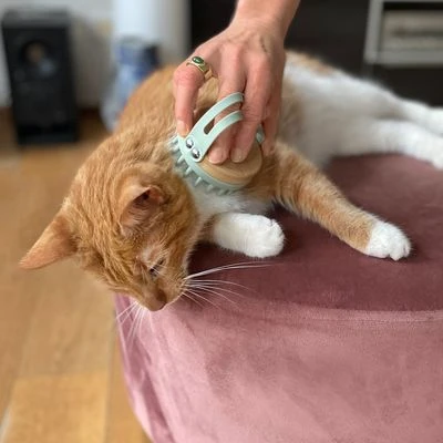 Kooa Cepillo Masajeador Para Gatos - Imagen 3