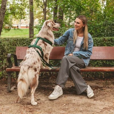 Arnés Nomad Tales Blush Esmeralda Para Perros - Imagen 9