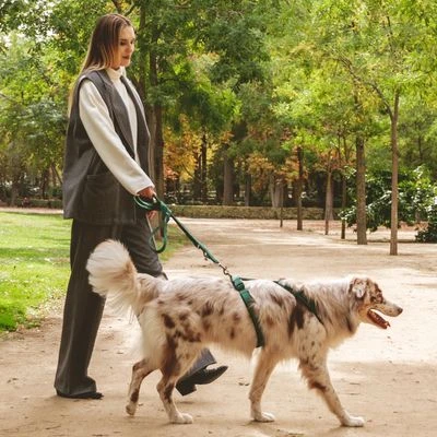 Arnés Nomad Tales Blush Esmeralda Para Perros - Imagen 18