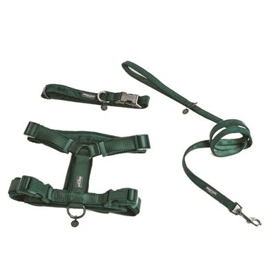 Arnés Nomad Tales Blush Esmeralda Para Perros - Imagen 7