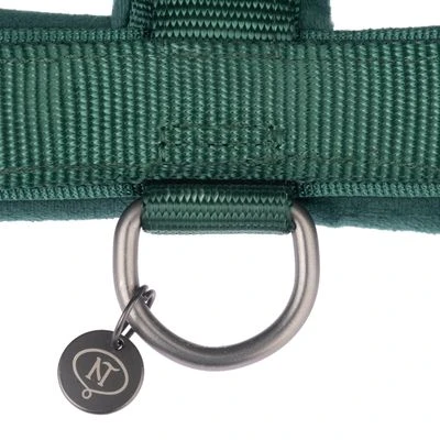 Arnés Nomad Tales Blush Esmeralda Para Perros - Imagen 6