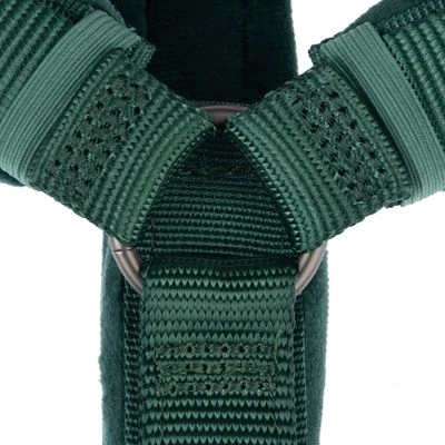 Arnés Nomad Tales Blush Esmeralda Para Perros - Imagen 10