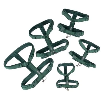 Arnés Nomad Tales Blush Esmeralda Para Perros - Imagen 20