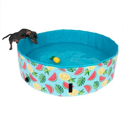 Piscina Para Perros TIAKI Con Cubierta - Imagen 10