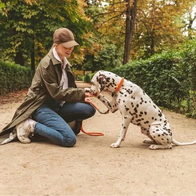 Collar Nomad Tales Spirit Mandarina Para Perros - Imagen 4