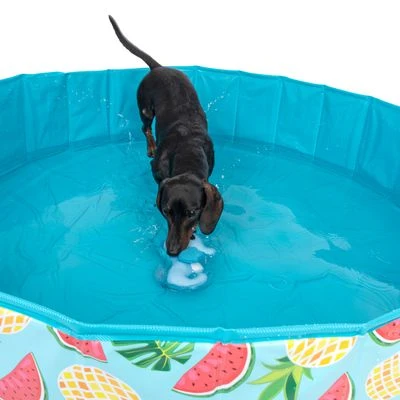 Piscina Para Perros TIAKI Con Cubierta - Imagen 14