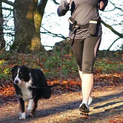 Correa Con Cintur贸n Manos Libres Trixie Para Perros - Imagen 3