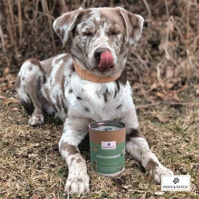 PAWS & PATCH Harina De Algas - Imagen 3