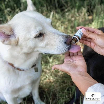 PAWS & PATCH Complemento Para La Ansiedad - Imagen 3