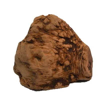 Chewies Raíz Para Masticar Tamaño L - Imagen 3