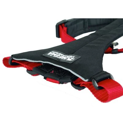 Arnés De Canicross NEEWA Running Rojo Para Perros - Imagen 2