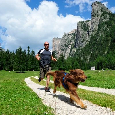 Arnés De Canicross NEEWA Running Rojo Para Perros - Imagen 4