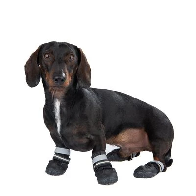 Zapatos Para Perros S & P Boots