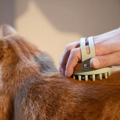 Kooa Cepillo Masajeador Para Gatos - Imagen 6