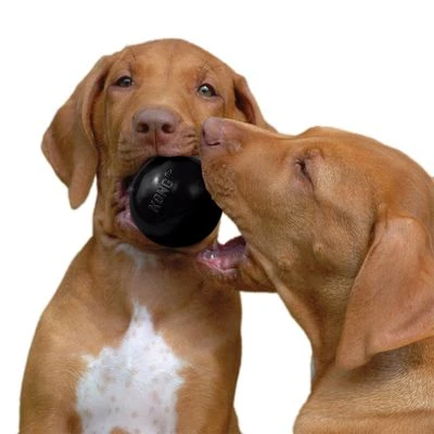 KONG Extreme Ball - Imagen 3