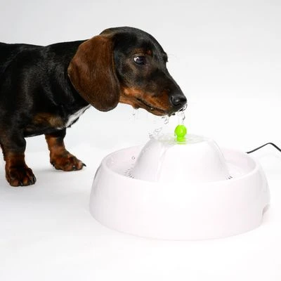 Bebedero Fuente Neptuno - Imagen 3