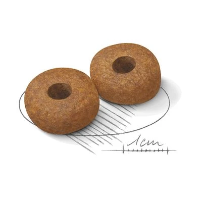 Royal Canin Medium Ageing 10+ - Imagen 2