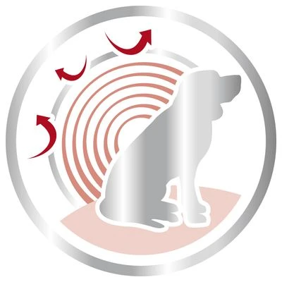Royal Canin Medium Ageing 10+ - Imagen 3