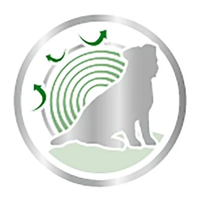 Royal Canin Mini Ageing 12 + En Salsa Para Perros - Imagen 4