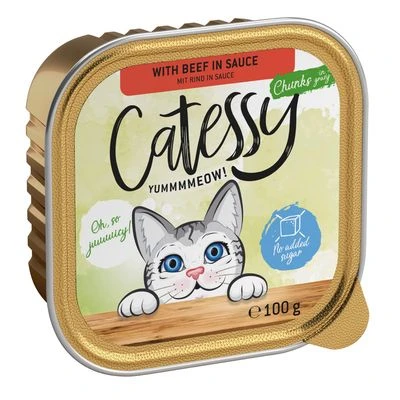 Catessy En Tarrinas 32 X 100 G - Pack Mixto - Imagen 13