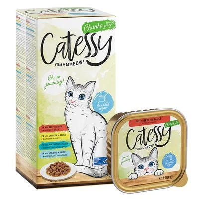 Catessy En Tarrinas 32 X 100 G - Pack Mixto - Imagen 12