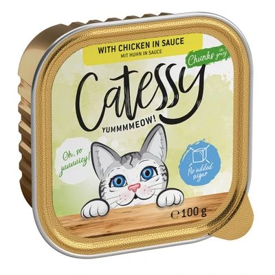 Catessy En Tarrinas 32 X 100 G - Pack Mixto - Imagen 14