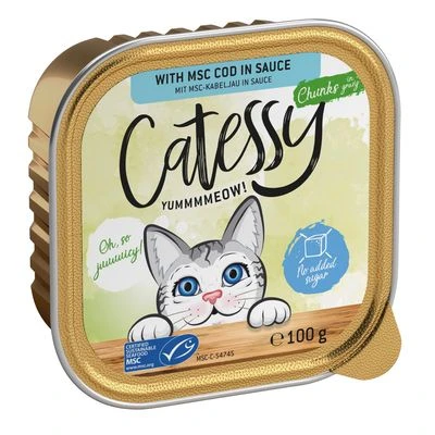 Catessy En Tarrinas 32 X 100 G - Pack Mixto - Imagen 16