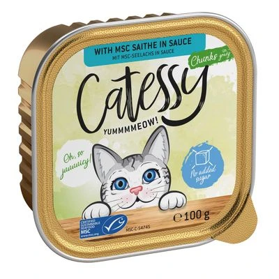 Catessy En Tarrinas 32 X 100 G - Pack Mixto - Imagen 15