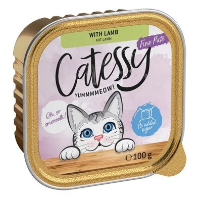 Catessy En Tarrinas 32 X 100 G - Pack Mixto - Imagen 5