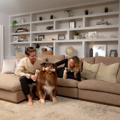 Pet Head Sensitive Soul Champú, Acondicionador Y Spray Para Perros - Imagen 9