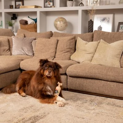 Pet Head Sensitive Soul Champú, Acondicionador Y Spray Para Perros - Imagen 8