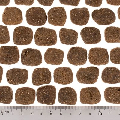 Wolf Of Wilderness The Taste Of The Mediterranean - Imagen 5