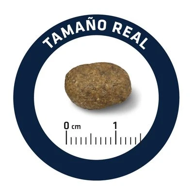 Advance Sensitive Con Cordero Y Arroz - Imagen 7