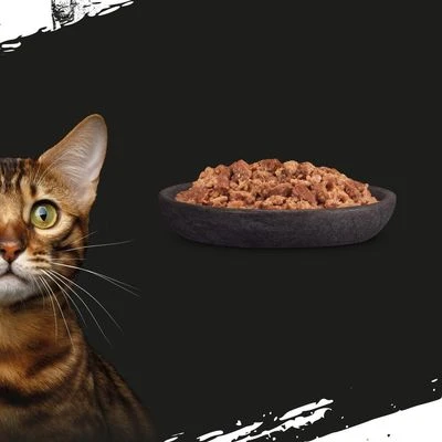 Crave 16 X 85 G En Bolsitas Para Gatos - Pack Mixto - Imagen 3
